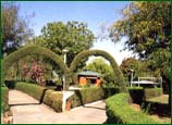 Chambel Garden, Kota