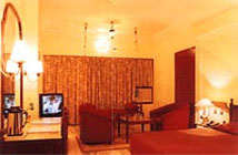 Hotel Hilltop palace, Udaipur